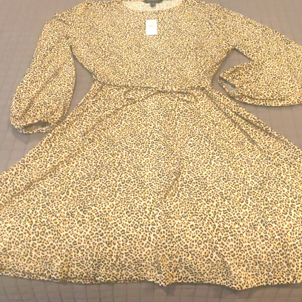Banana Republic leopard print dress